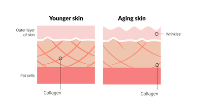Choosing the Best Collagen Supplement for Skin: Your Complete Guide