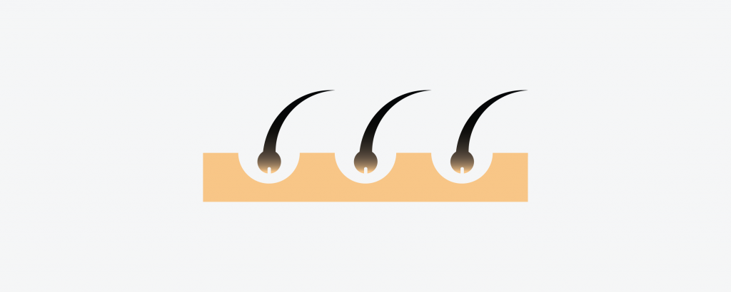The Deep-Dive Series: How Our Hair Grows - Nutrova