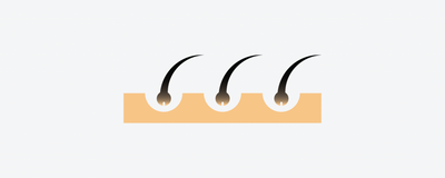 The Deep-Dive Series: How Our Hair Grows