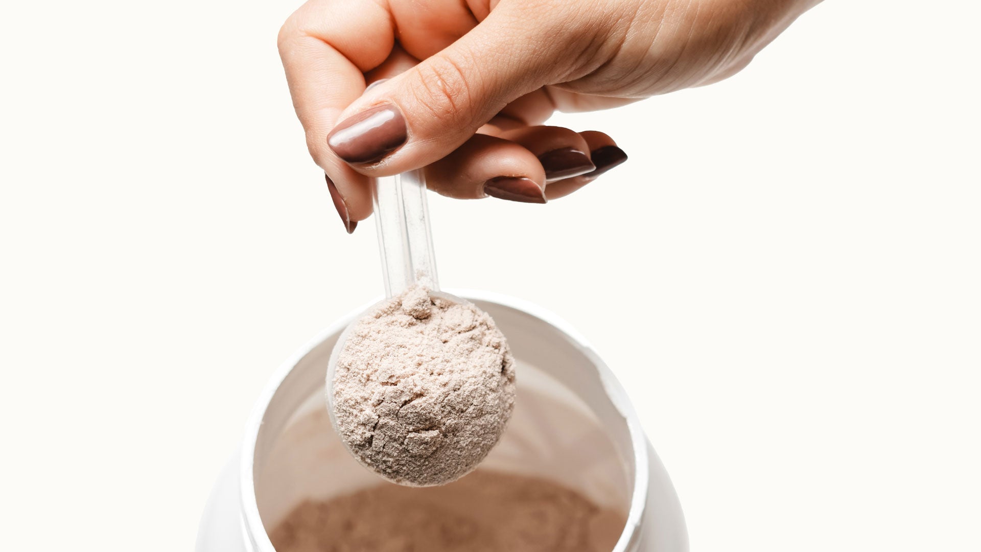 Everything You Need to Know About Protein: Your Complete Guide