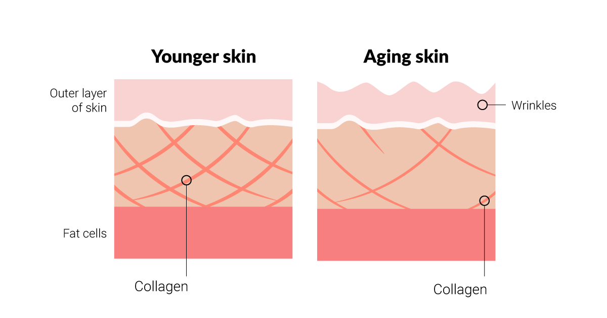 Complete guide to collagen supplements and how to choose the best collagen peptide product