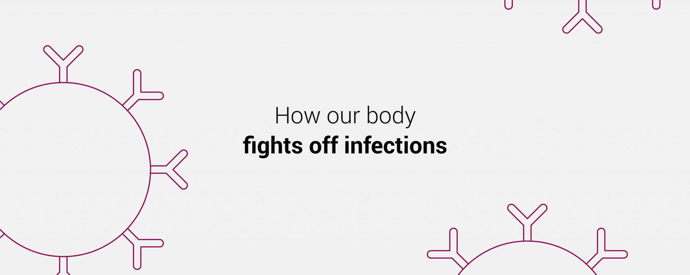 The Deep-Dive Series: How Our Immune System Works