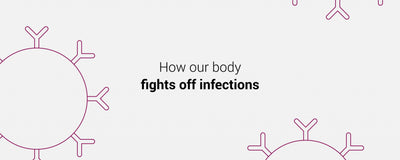 The Deep-Dive Series: How Our Immune System Works