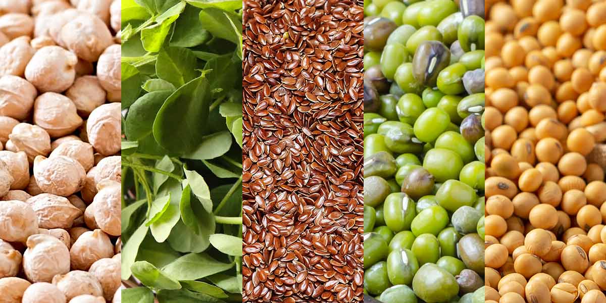 India's Top 10 Nutrient-Dense Foods