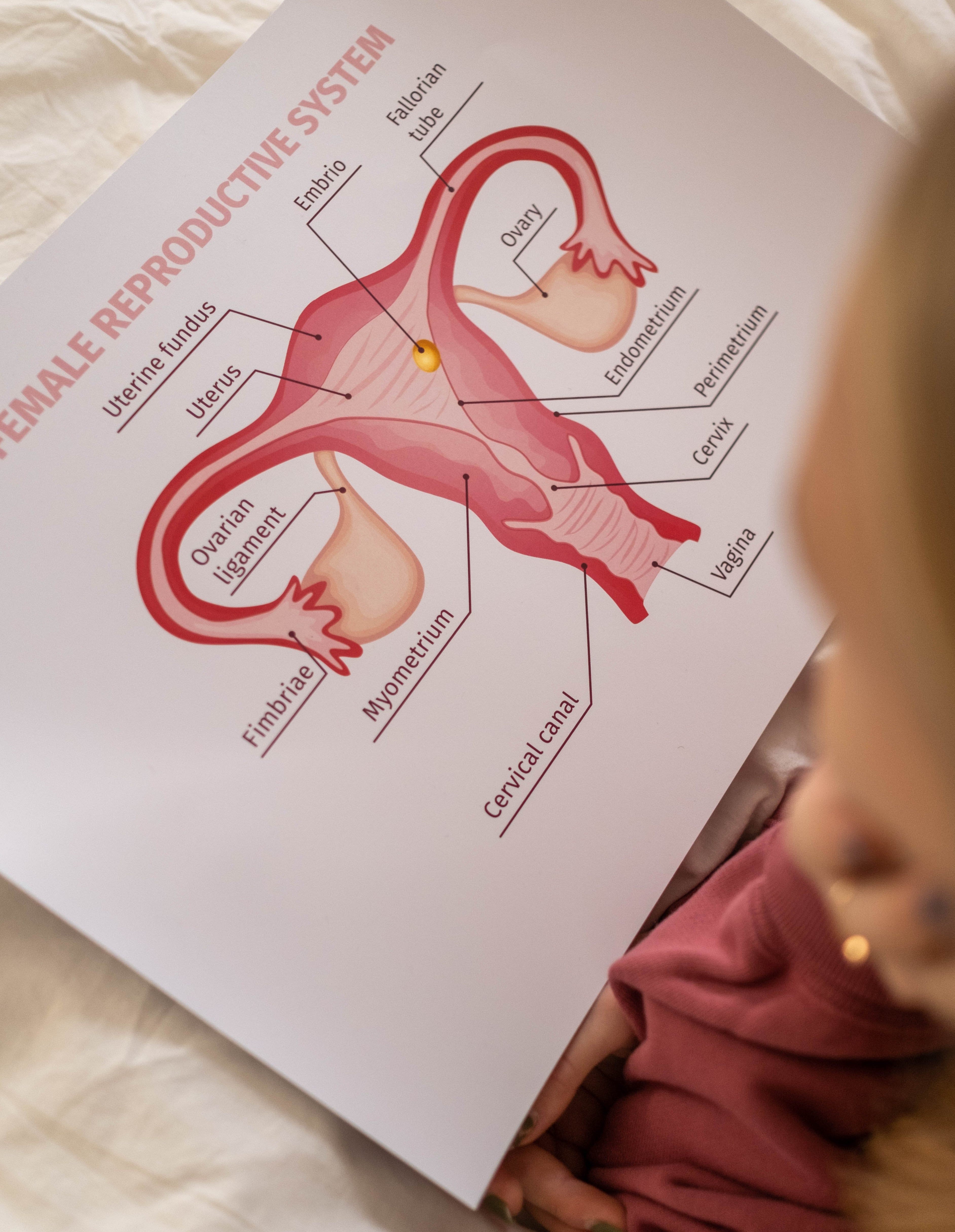 The Syndrome that is PCOS