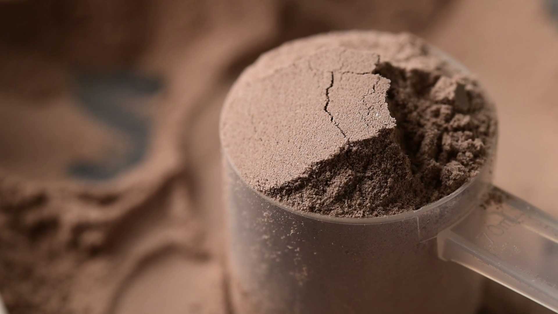 Whey Protein Vs. Plant Protein Supplements: Which Is Better?